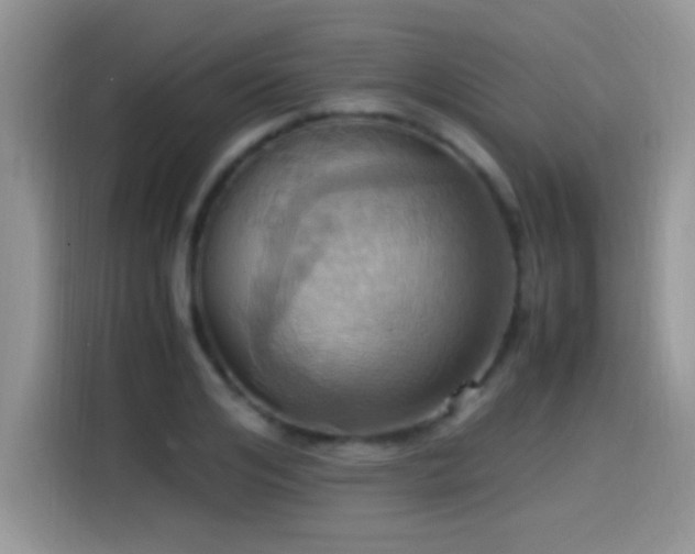 X0000115560984200911061549