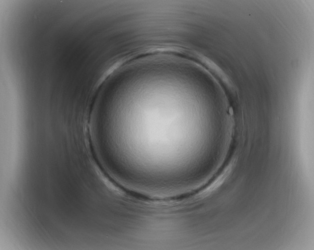 X0000115560985200911061549