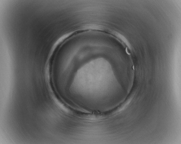 X0000115560987200911061549