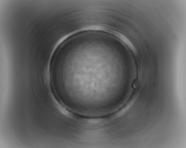 X0000115560988200911061549