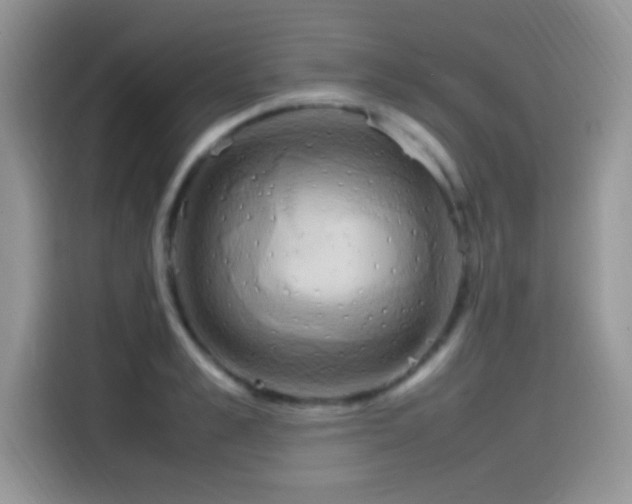 X0000115560989200911061549