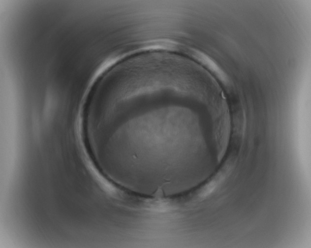 X0000115560991200911061549