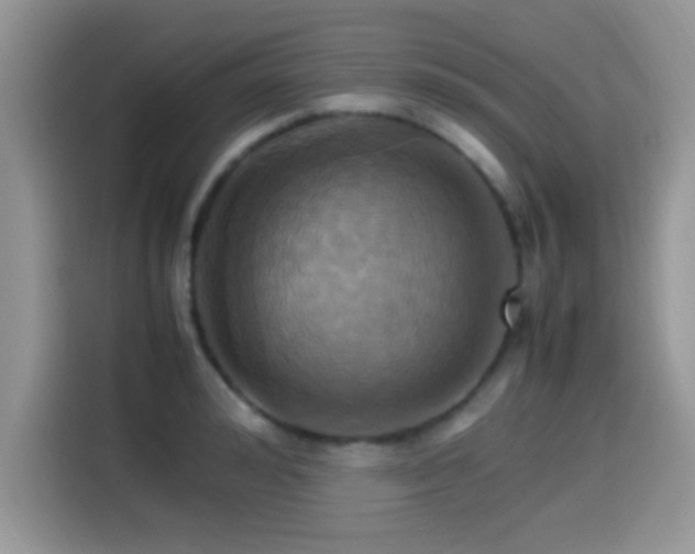 X0000115560992200911061549