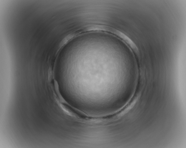 X0000115560993200911061549
