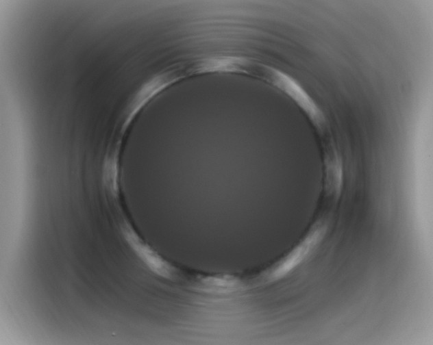 X0000115560994200911061549
