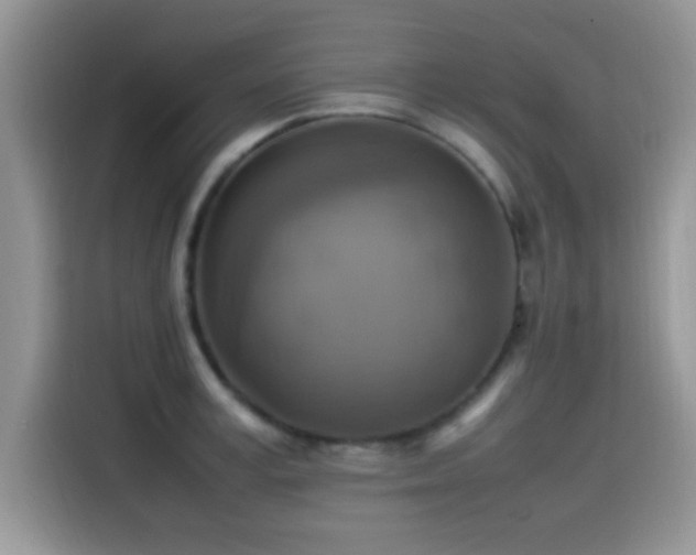 X0000115560995200911061549