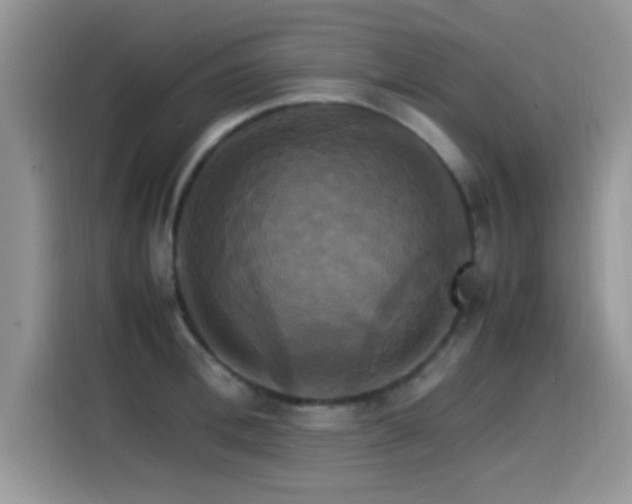 X0000115560996200911061549