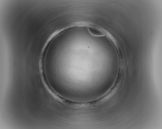 X0000115560997200911061549