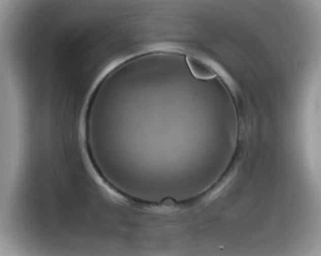X0000115560999200911061549