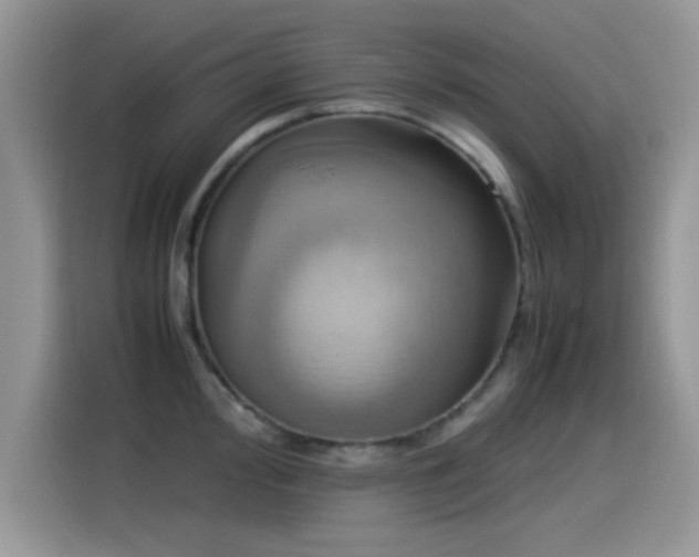 X0000115561000200911061549