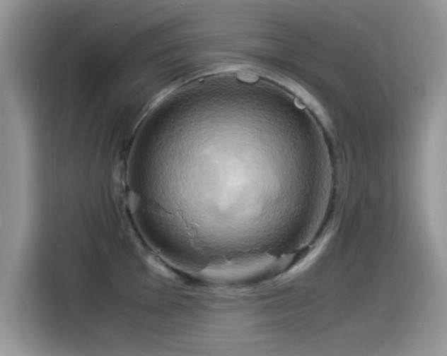 X0000115561001200911061549