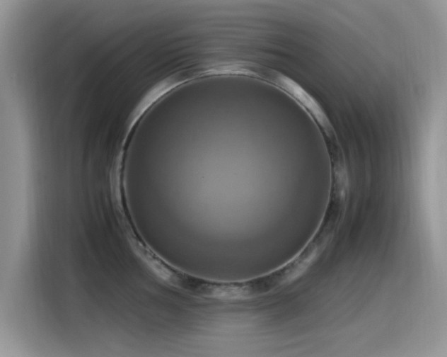 X0000115561002200911061549