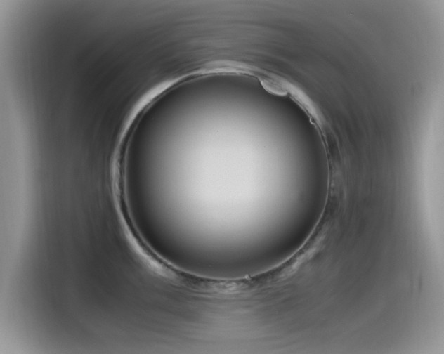 X0000115561003200911061549