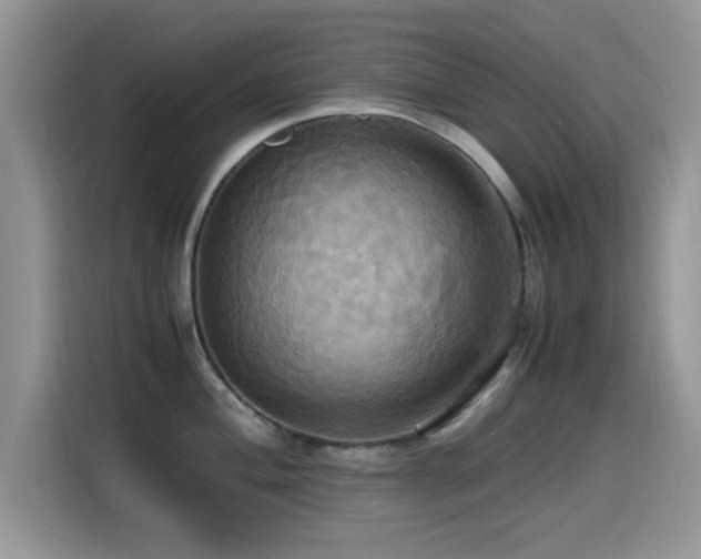 X0000115561004200911061549