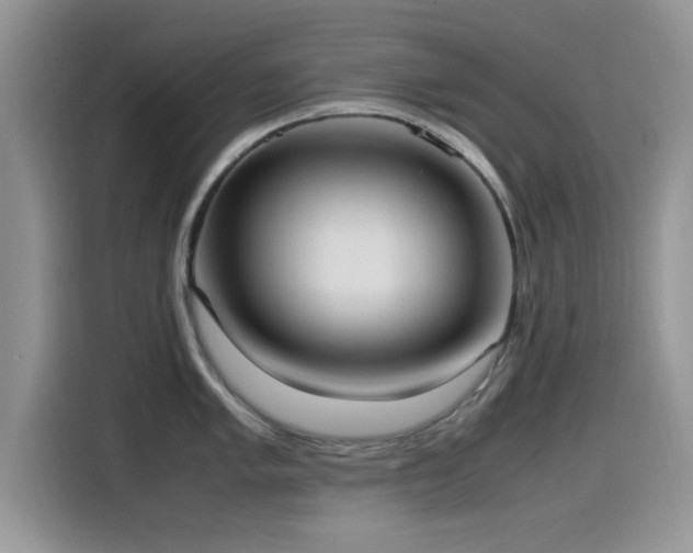 X0000115561005200911061549