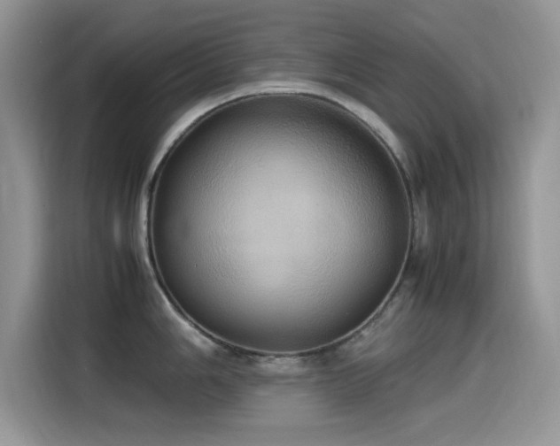 X0000115561006200911061549