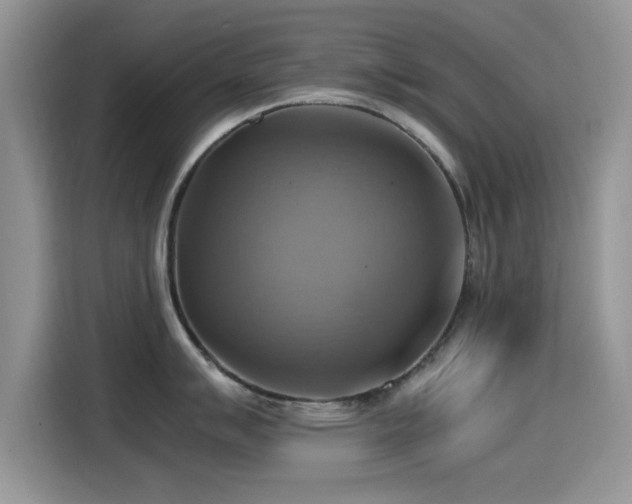 X0000115561007200911061549