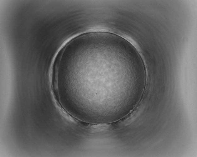 X0000115561008200911061549