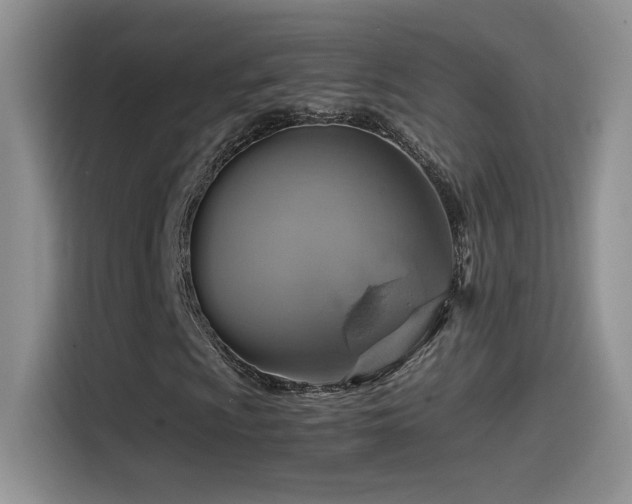 X0000115561009200911061549