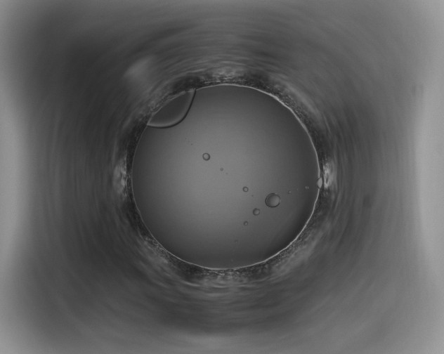 X0000115561011200911061549