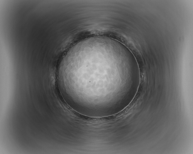 X0000115561012200911061549
