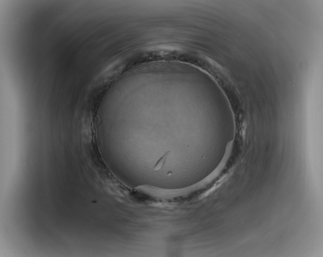 X0000115561014200911061549