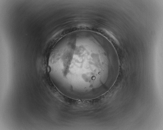 X0000115561015200911061549