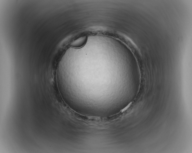 X0000115561016200911061549