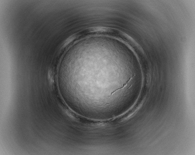 X0000115561017200911061549