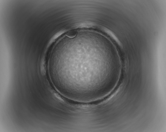 X0000115561018200911061549