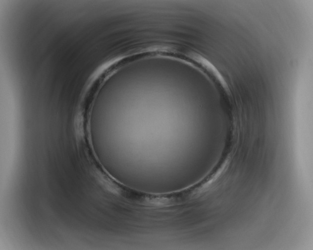 X0000115561019200911061549