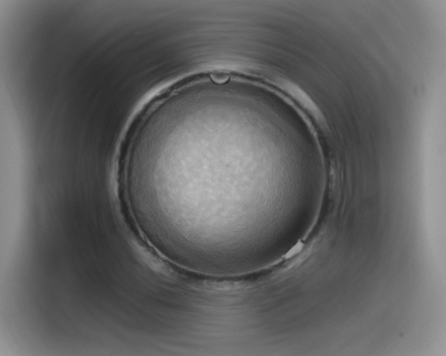 X0000115561020200911061549