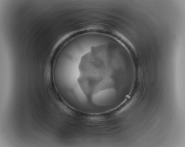 X0000115561021200911061549