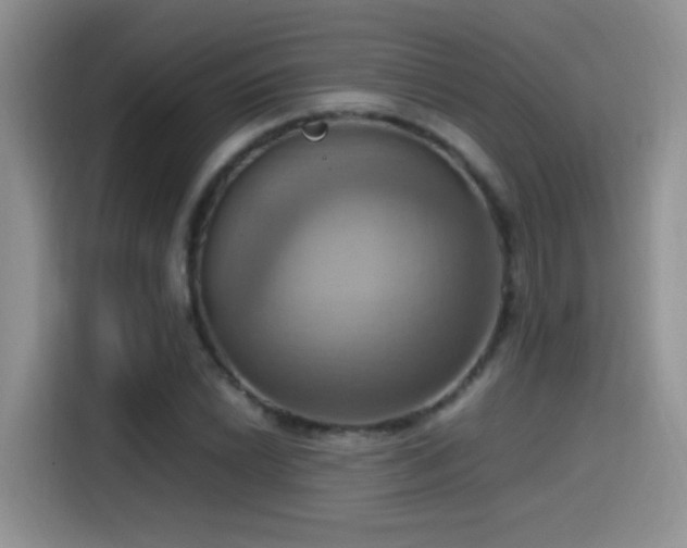 X0000115561022200911061549