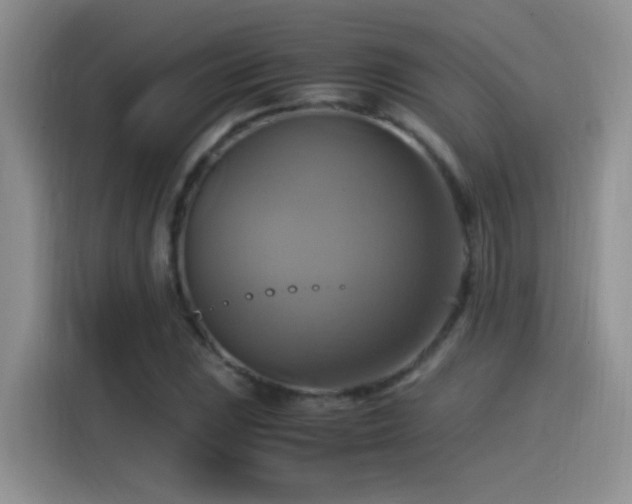 X0000115561023200911061549