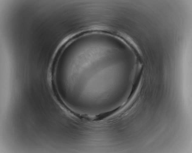 X0000115561024200911061549