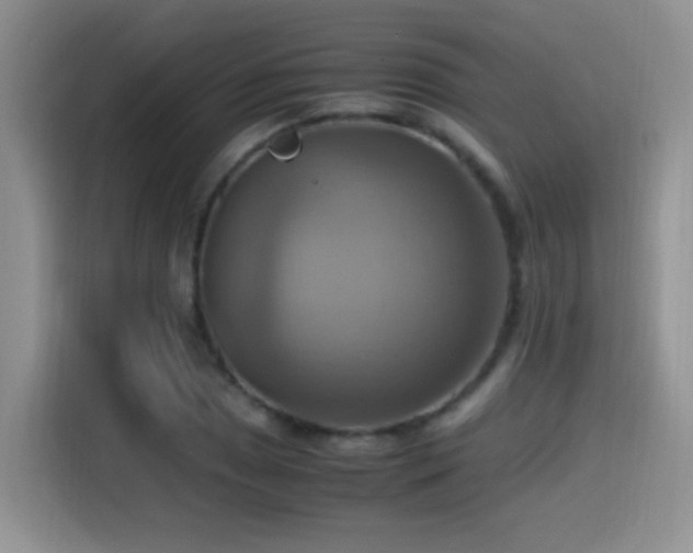 X0000115561025200911061549