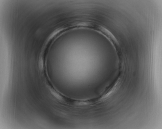 X0000115561027200911061549