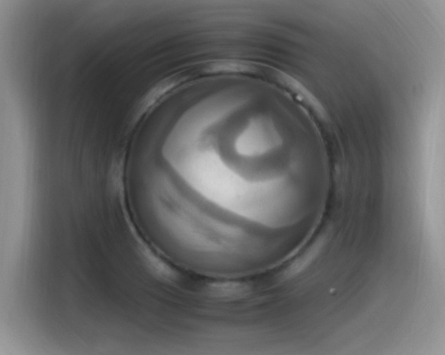 X0000115561033200911061549