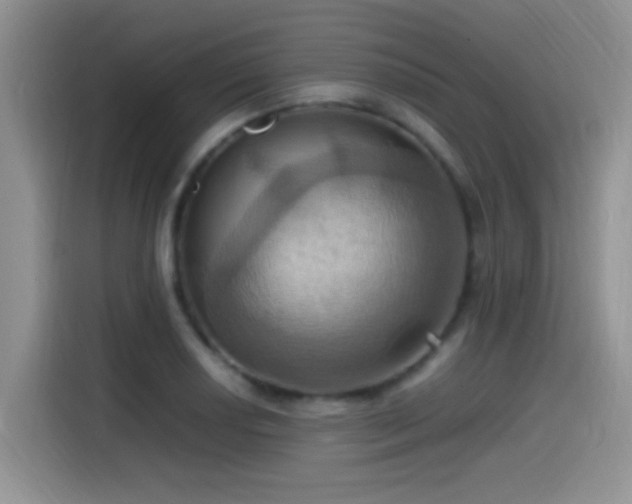 X0000115561034200911061549
