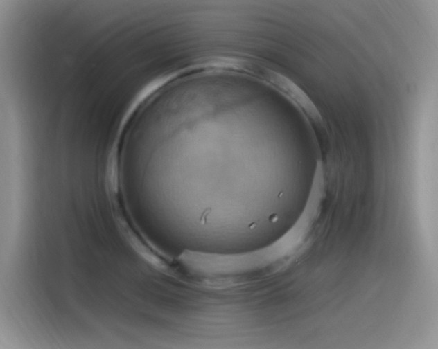 X0000115561036200911061549