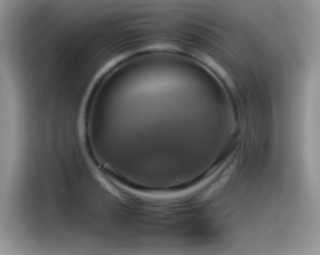 X0000115561037200911061549