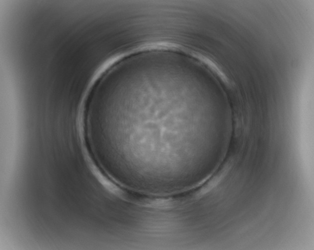 X0000115561038200911061549
