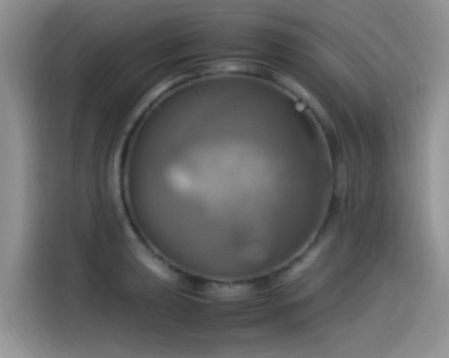 X0000115561039200911061549