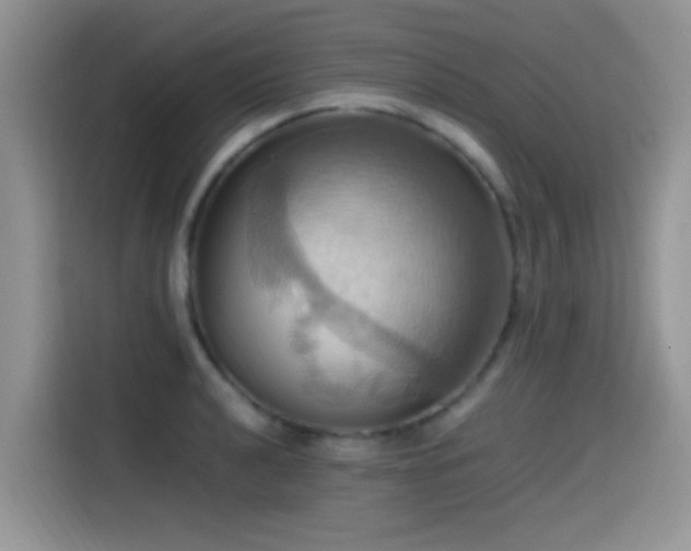 X0000115561040200911061549