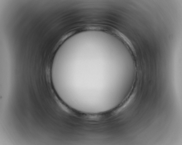 X0000115561041200911061549