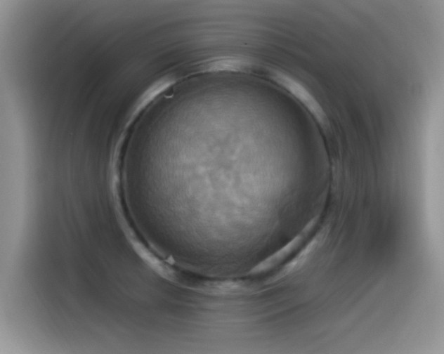X0000115561042200911061549
