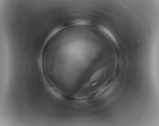 X0000115561043200911061549