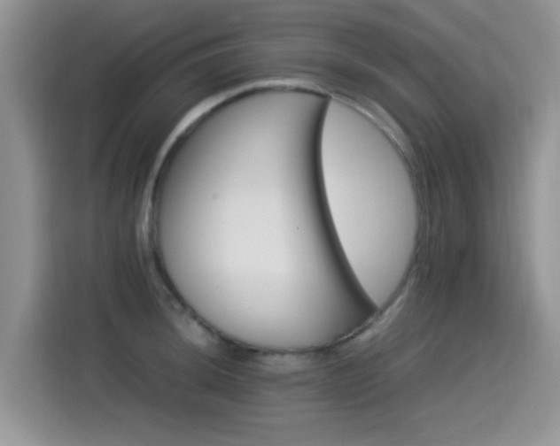 X0000115561044200911061549