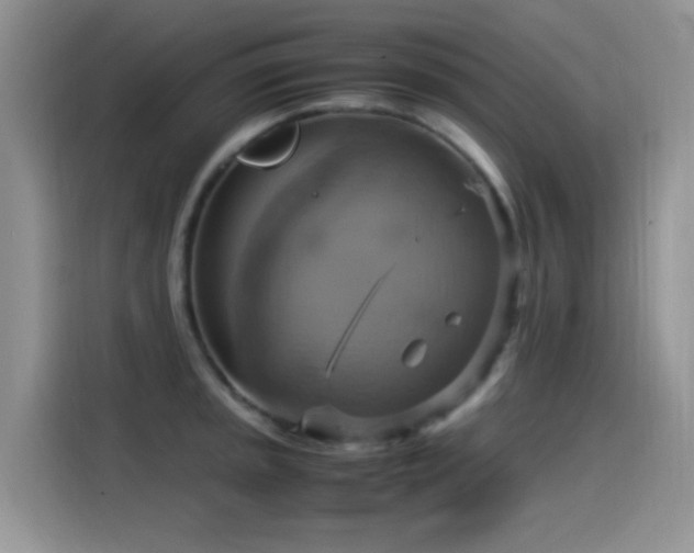 X0000115561045200911061549